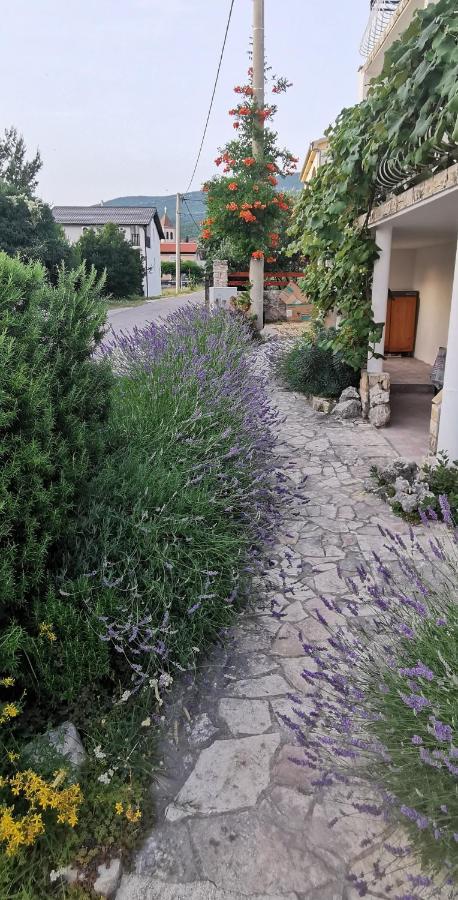Casa Lavanda - Karin Gornji Gornji Karin Ngoại thất bức ảnh